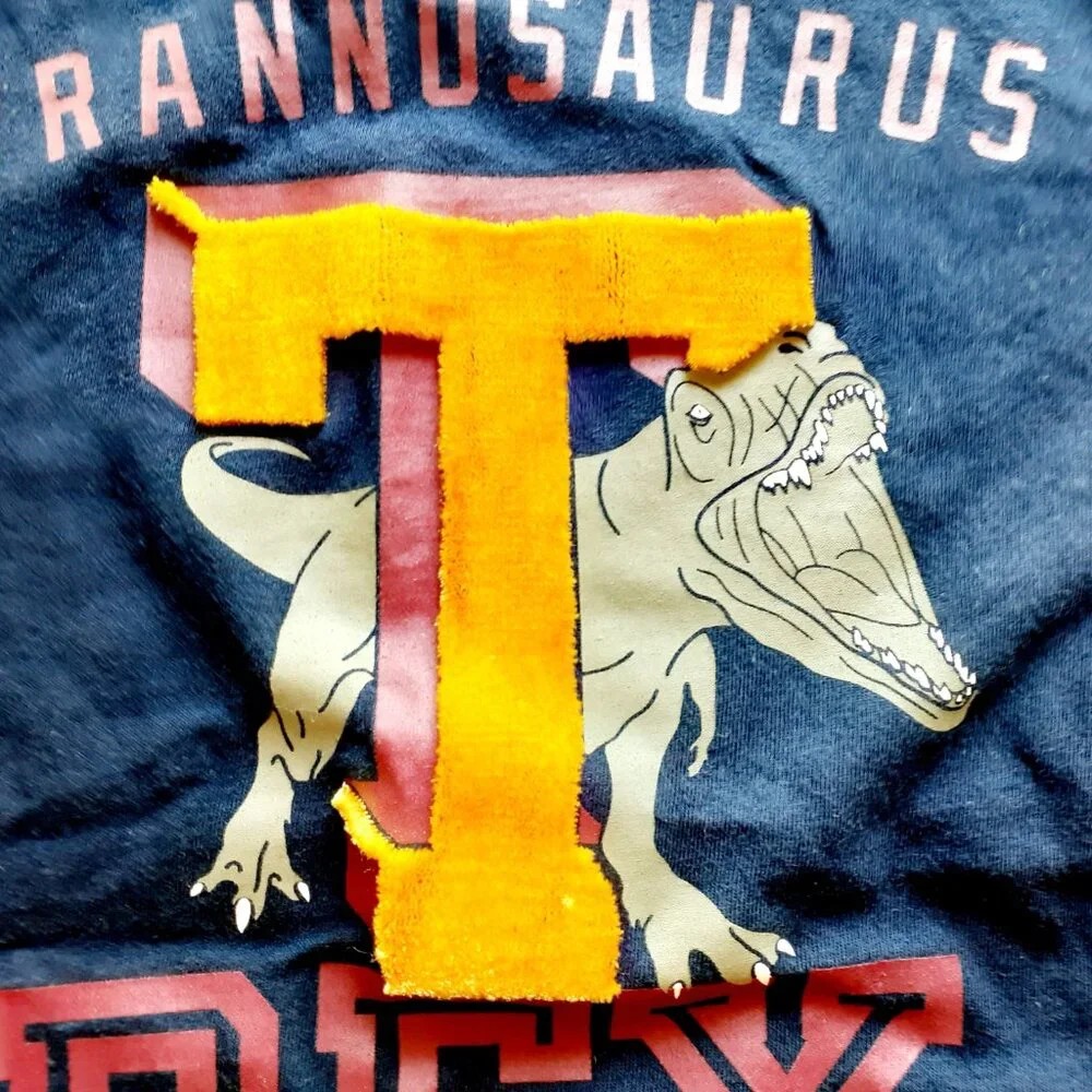 Gap Boys T-Shirt Dinosaur Navy T-Rex Short Sleeve Large 10